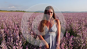 A young woman with long hair gently caresses the sage bushes with her hand. Field of Clary sage - Salvia Sclarea in