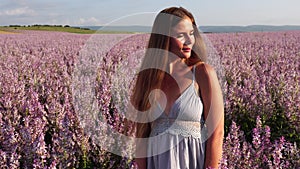 A young woman with long hair gently in the sage bushes. Field of Clary sage - Salvia Sclarea in bloom, cultivated to