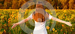 Young woman with long hair in sunflower Field with hands up. girl outdoors enjoying nature
