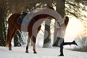 Young woman with long hear in sweater near brown horse on snow at sunset. Background of winter trees and sunset sky