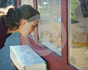 Young Woman looking at Baby Chicks