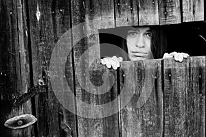 Young woman looking through the crack of a locked wooden shed.