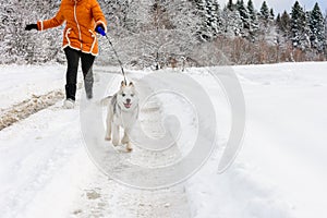 Young woman making a morning run with a husky puppy in the winter forest