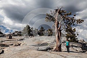 Young woman next to a Sequoia tree in Yosemite