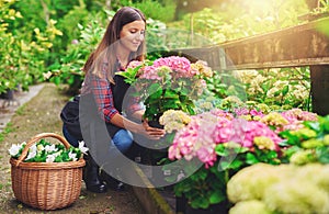 Young woman at a nursery holding a hydrangea