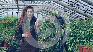 Young woman owner of hothouse is recording video about gardening for her videoblog standing in greenhouse and holding