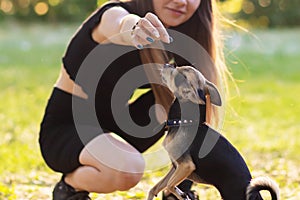 A young woman in the park plays with a dog, trains, gives a treat