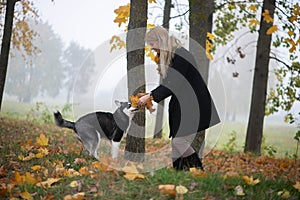 Young woman pet owner with  dog playing in autumn leaves