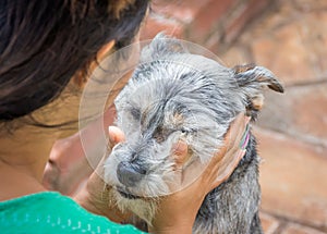 Young woman petting gray dog