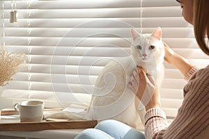 Young woman petting her beautiful white cat at home. Fluffy pet