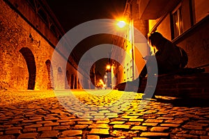 Young woman with a phone in hand, on a bench, late at night, on a medieval style cobblestone street in Sibiu, Romania