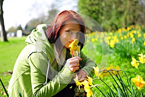 Young woman picking daffodils