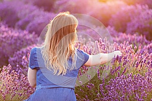 Young woman picking lavender flowers at sunset.
