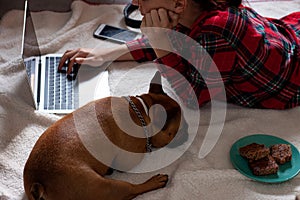 Young woman in pijama using laptop with french bulldog next to her