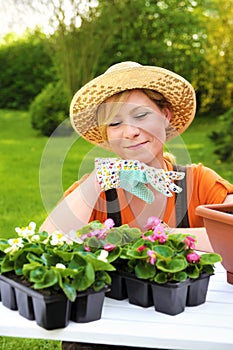 Young woman planting flower seedlings, gardening in spring, planting begonia flowers in pot, smiling woman working in garden