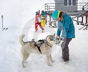 Young woman playing with dog siberian Husky