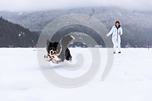 Young woman playing with dog in snow, playing fetch, winter wonderland, pet owner.