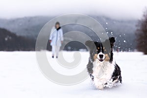 Young woman playing with dog in snow, playing fetch, winter wonderland, pet owner.