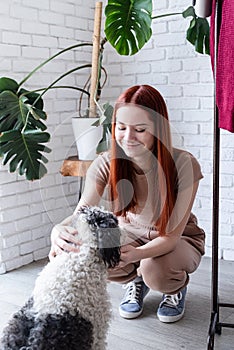 young woman playing with her cute dog at home