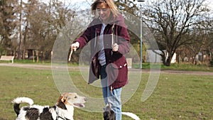 Young woman is playing with her pets. Two dogs and their mistress in the park for a walk. Girl plays with dogs with