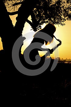 Young woman playing the saxophone leaning on a tree is near a river in the background sunrise