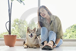 A young woman playing with Shiba Inu by the window in the bedroom. Japanese Shiba Inu dog breed