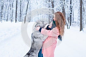 Young woman playing with siberian husky