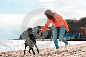 A young woman plays with a black dog on the beach, taking a stick from his mouth. Games with pets on outdoor. The