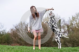 Young woman plays with a Dalmatian dog