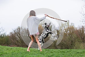 Young woman plays with a Dalmatian dog