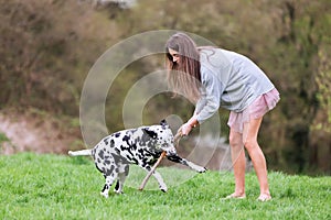 Young woman plays with her Dalmatian dog