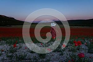 Young woman poppy field. A beautiful wine red dress.