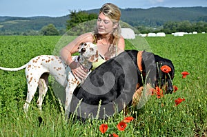 Young woman poses with her big dogs on green meadow