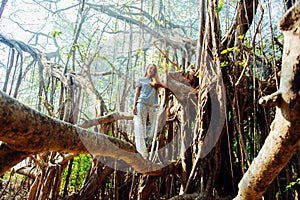 Young woman posing on banyan banjan tree during vocation in india goa