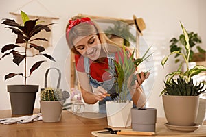 Young woman potting beautiful plant. Engaging hobby