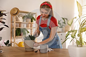 Young woman potting succulent plant. Engaging hobby