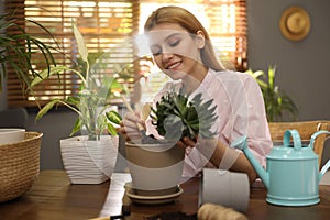 Young woman potting succulent plant. Engaging hobby