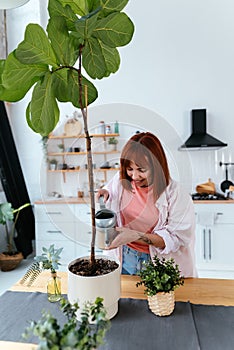 Young woman pouring water in flower pot with indoor houseplant from watering can.