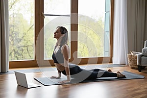 Young woman practicing Upward Facing Dog in cozy living room