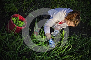 Young woman pulling weeds