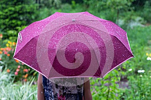 A young woman with a purple umbrella in the park on a rainy summer day view from the back.
