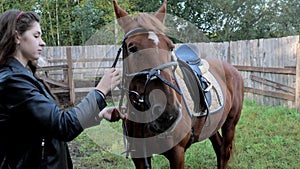 A young woman puts a bridle on a horse on a farm and prepares horse equipment for a trip through the countryside.