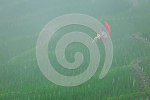 Young woman with red umbrella relaxing in green rice terraces on holiday at pa bong paing village,  Mae-Jam Chiang mai, Thailand