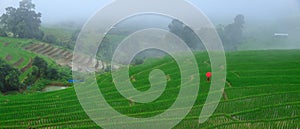 Young woman with red umbrella relaxing in green rice terraces on holiday at pa bong paing village,  Mae-Jam Chiang mai, Thailand