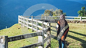 Young woman relax in the holiday she walking towards the beautiful on the mountain viewpoint.at sheep farm Doi Pha Tang in