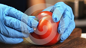 Young woman removes peduncle from red tomato on table in kitchen of apartment.