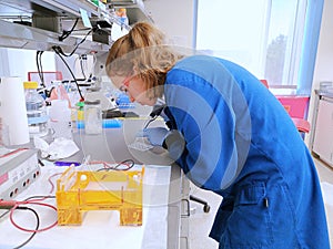 Young woman researcher loading the pipette with a DNA sample to load an agarose gel