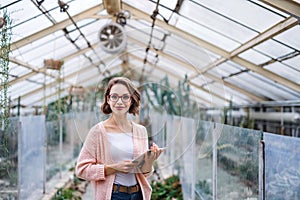 Young woman researcher standing in greenhouse, using tablet.