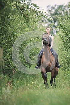 Young woman ridding on a horse