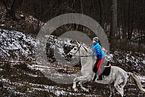 Young woman rider in a blue blazer and sporting a cap for a walk on a white horse